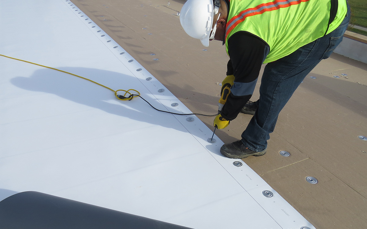 TPO & PVC roofing