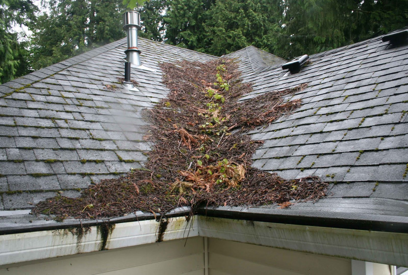 Detroit roofer
