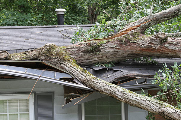Roofers near me